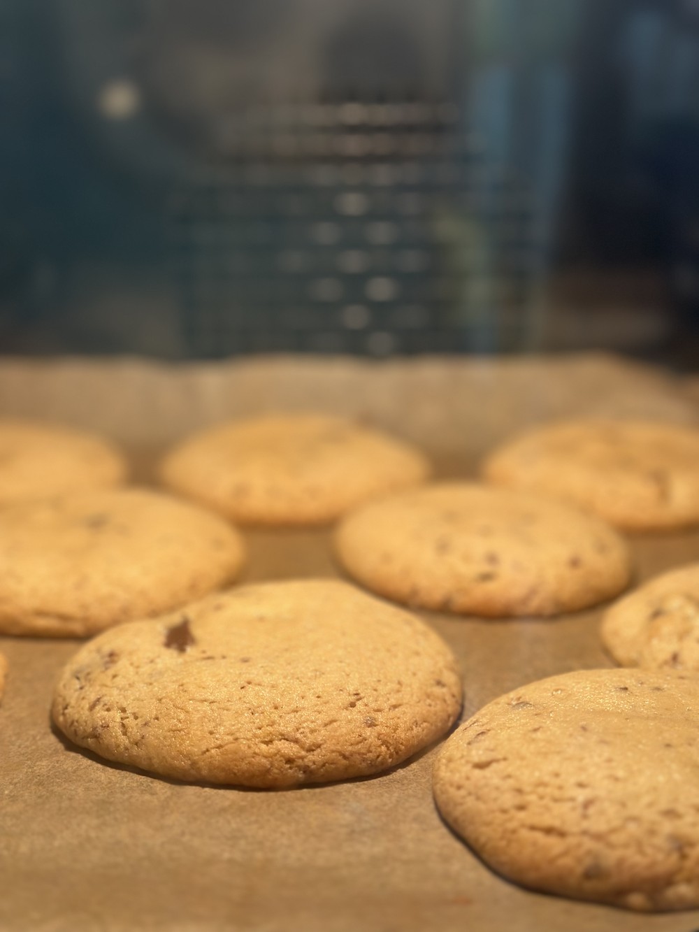 Cookies på bagepapir i ovnen, hvor de er flydt ud til runde kager